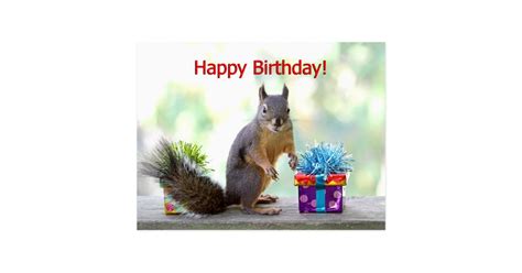 Happy Birthday Squirrel Postcard Zazzle