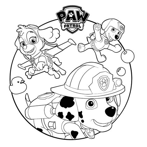 Paw Patrol Colorear Dibujos Images And Photos Finder