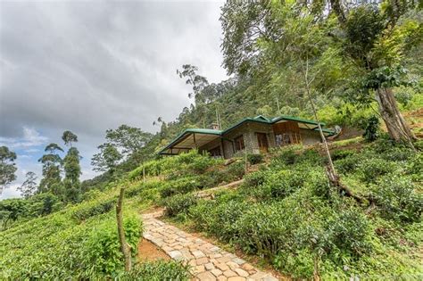 Ceylon Tea Trails In Sri Lanka Luxury Tea And Colonial Ambiance