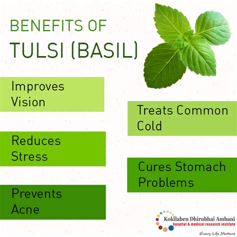 Benefits Of Tulsi
