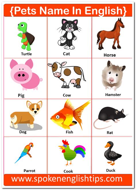 50 Animals Name In English With Pictures