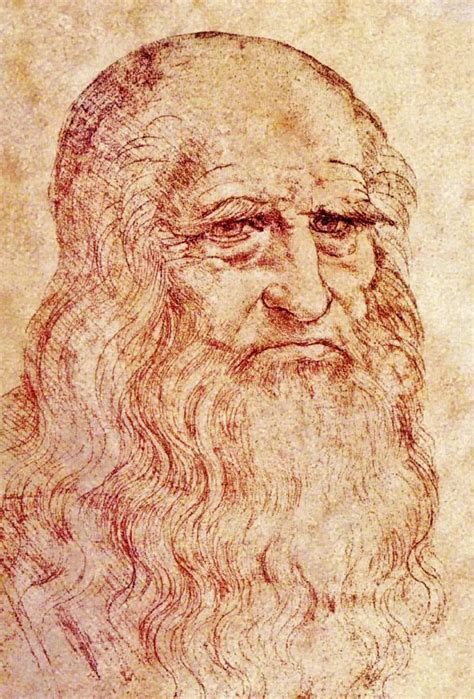 Spina Esempio Diventare Piccola Ricerca Su Leonardo Da Vinci Quagga