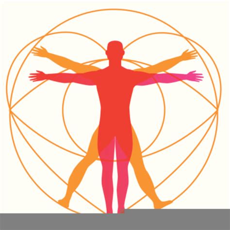 Healthy Body Clipart Healthy And Fit
