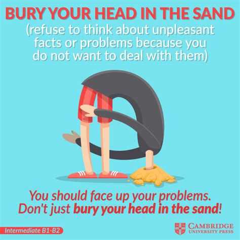 Bury Your Head In The Sand Cambridge Blog