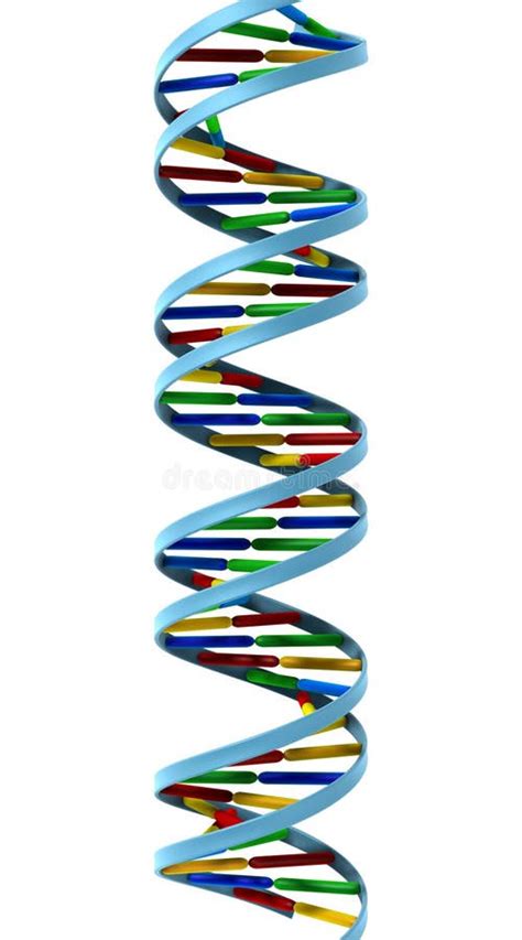 Dna Helix Stock Vector Illustration Of Helix Genomes 5146199