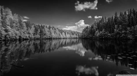 Finland Forest Lake Black And White Ultra Hd Desktop