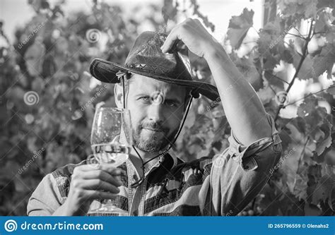 Male Vineyard Owner Professional Winegrower On Grape Farm Stock Image