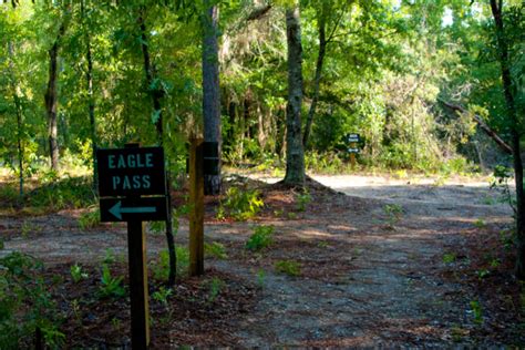 Silver Springs Conservation Area Florida Hikes
