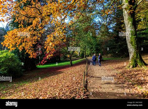 Walkers Admiring The Spectacular Autumn Colour At Stourhead Gardens