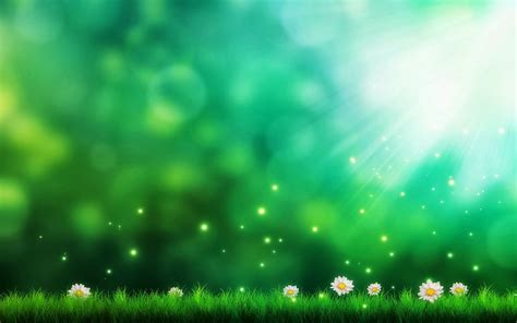 Dec 05, 2019 · use the light green color to fill in the surrounding space. HD Wallpapers Desktop: Green Background HD DeskTop Wallpapers