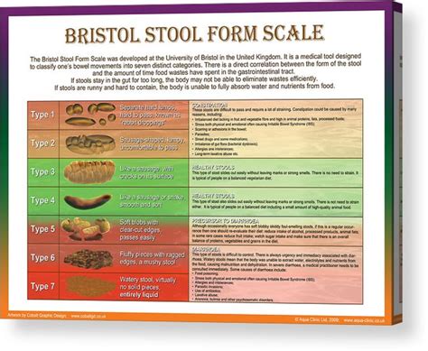 Bristol Stool Chart Poster Stools Item