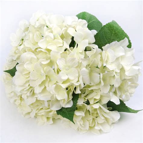 Find great deals on ebay for silk hydrangea flowers and hydrangea artificial. Beauty Artificial Silk Green Hydrangea Bush Mop Heads ...