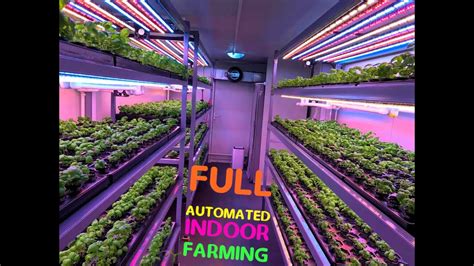 container farming fully automated youtube