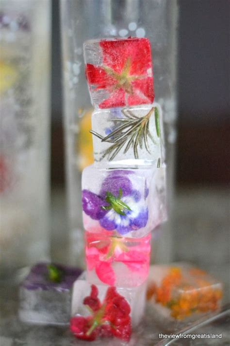 Edible Flower Ice Cubes Recipe Flower Ice Cubes Flower Ice Floral