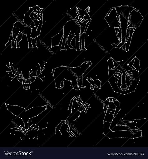 Collection Of Hand Draw Animals Constellation Vector Image