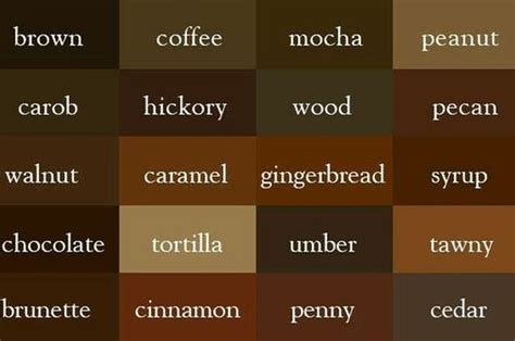 10 Macam Warna Coklat Sejaran Hingga Fakta Unik Di Baliknya Sonoraid
