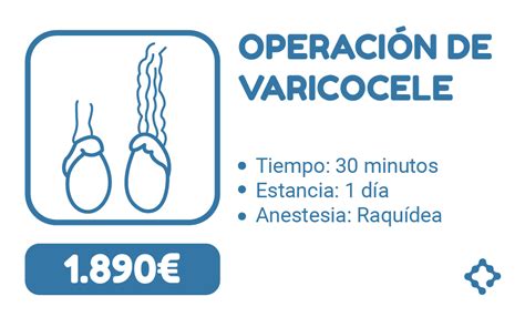 Operación De Varicocele Precio Cerrado 365 Hospitales