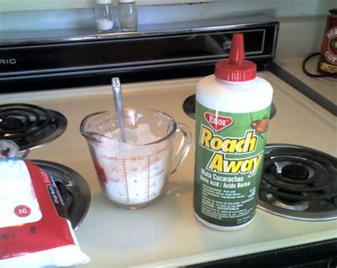 Boric acid is a weak acid with many uses. 4 Handy Boric Acid Uses to Effectively Get Rid of Pest ...