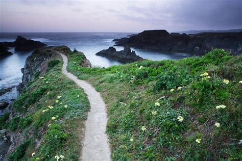 Spring Blooms And Inspiring Seascapes On The Mendocino