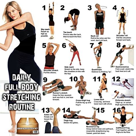 Printable Daily Stretching Routine