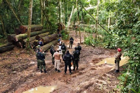 Governo Do Pará Prorroga Situação De Emergência Em São Félix Do Xingu E Mais 14 Municípios Por