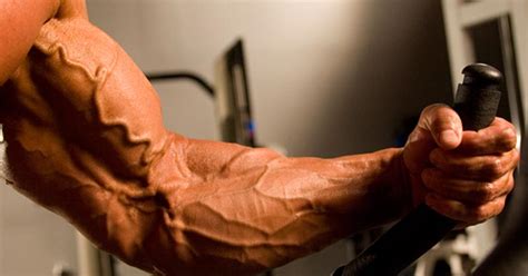 How To Get Those Popping Bicep Veins