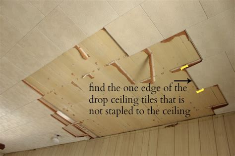 How To Remove A Drop Ceiling Drop It Like Its Hot
