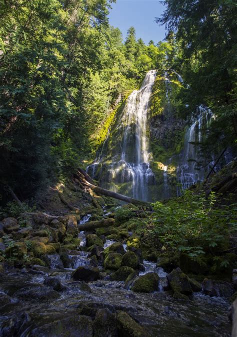Nine Scenic Drives Through Pacific Northwest National Forests