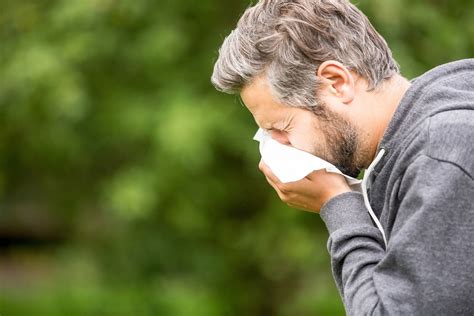 allergy myths 10 biggest allergy myths you thought were true