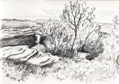 Drawing Texture Landscape Sketches For Beginners Pen Watercolour