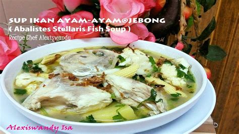 Sebab biasalah ibu bekerja ni kenalah cepat dan simple kan. SUP IKAN AYAM-AYAM @ JEBONG ( Abalistes Stellaris Fish Soup )Resepi Chef Alexiswandy - YouTube