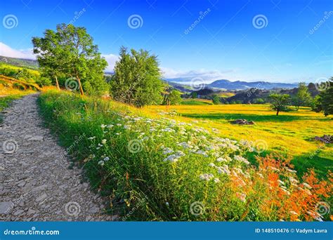 Majestic Countryside Landscape With Forested Hills And Grassy Meadows