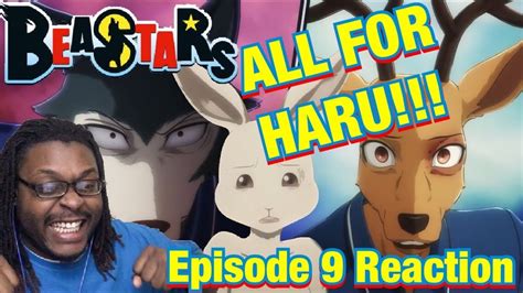 Beastars Episode 9 Reaction All For Haru Youtube