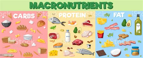 Diagramma Dei Macronutrienti Con Ingredienti Alimentari Immagini