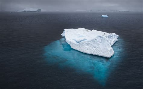 Iceberg Ocean Penguins Antarctica Wallpapers Hd