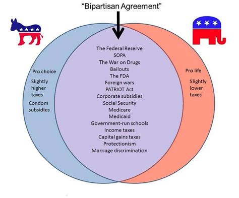 What Are The Basic Differences Between Democrats And Republicans