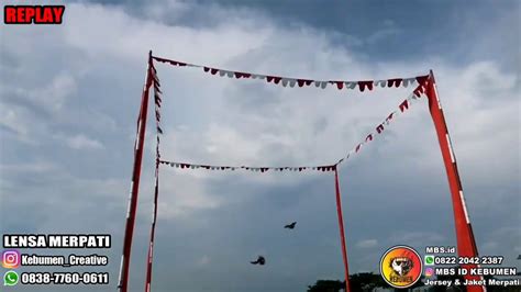 Maybe you would like to learn more about one of these? Burung Dara Punya Ayah INARA Saat Ikut Lomba Event ...