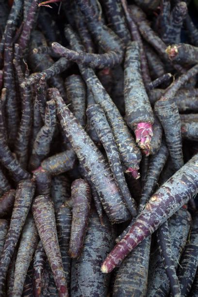 29600 Black Carrots Stock Photos Pictures And Royalty Free Images Istock