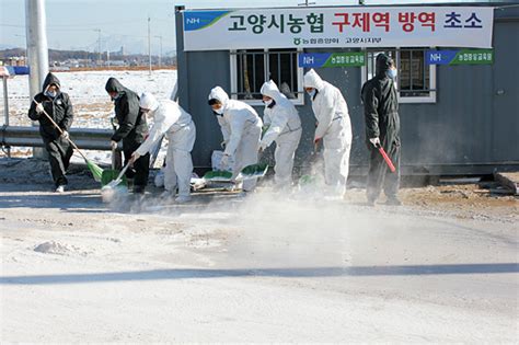 농협 신입사원 구제역 방역 문화일보 Munhwa