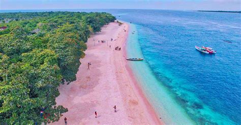 Photos Pink Sand Beach Philippines Aerial View