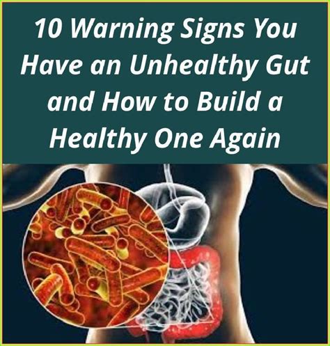6 Signs Of An Unhealthy Gut 7 Likely Causes The Best Foods For 10