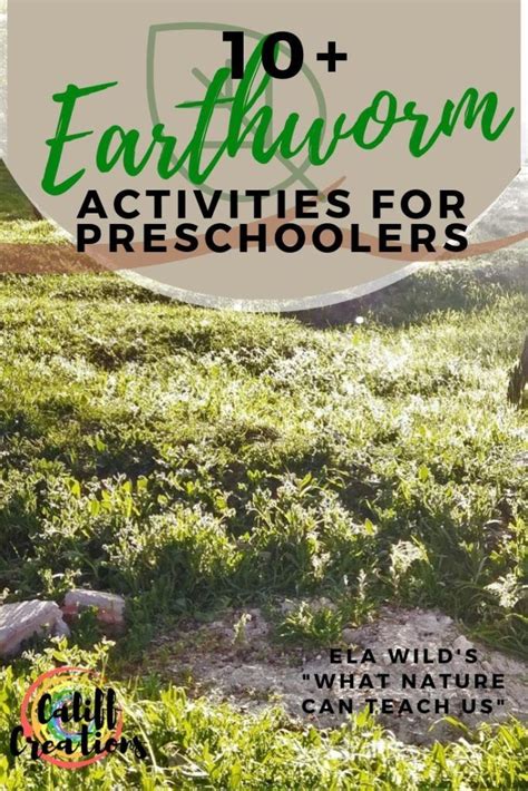 Earthworms What Nature Can Teach Us Kids Learning Activities Craft