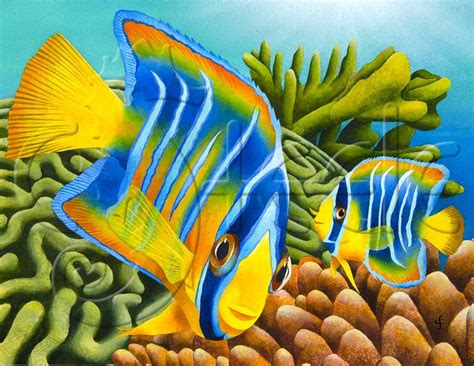 Carolyn Steele Painting Tropical Art Print Baby Queen Angelfish