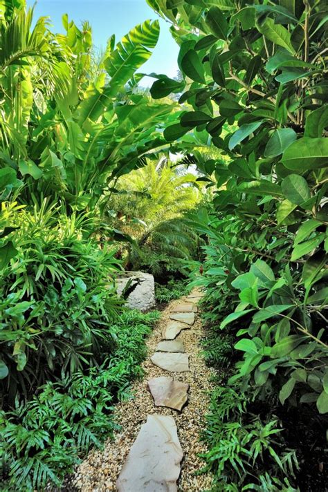 Other such gardens include the national cactus and succulent botanical garden and research centre in india,1 and sections of the western colorado botanical gardens, the moir gardens in hawaii,2 the. 17 Best images about tropical landscaping ideas on ...