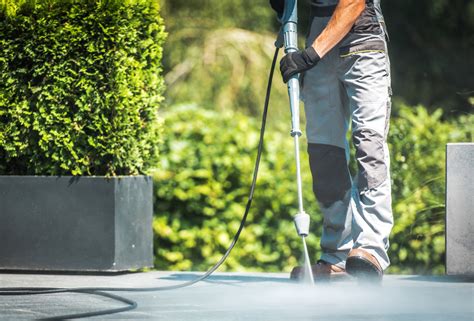 I have dogs so need something that's not harmful to them. Cleaning Patio Pavers: 10 Tips for Caring for Your Patio