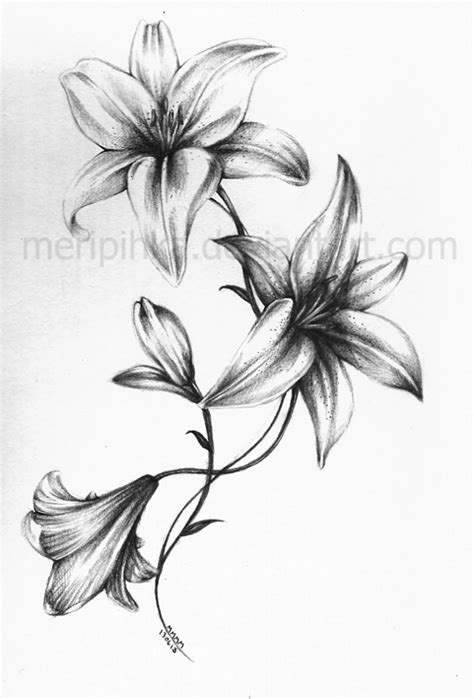 Lily Tattoo 2 By Meripihka On Deviantart Lily Flower Tattoos Tattoo