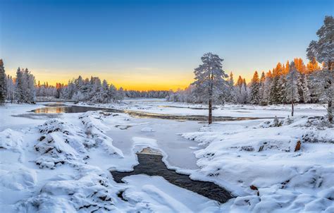 Wallpaper Winter Snow Trees River Finland Finland
