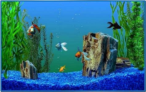 Windows Xp Media Center Aquarium Screensaver Download Free
