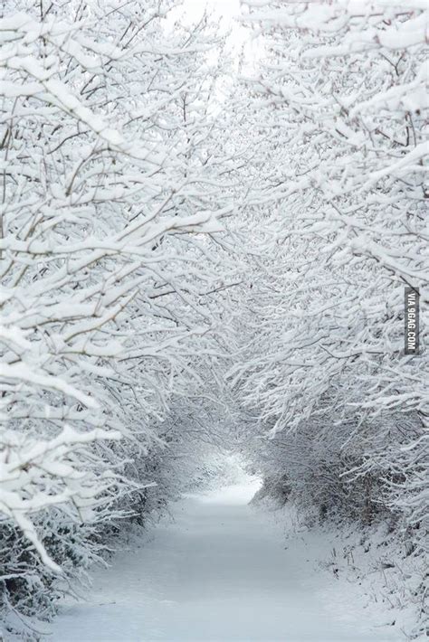 Snowy Tunnel Winter Szenen Winter Love Winter Magic Winter White