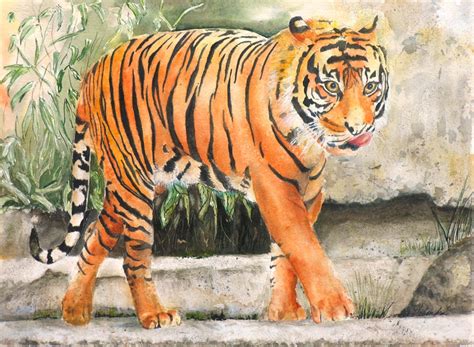 Bengal Tiger Giclée Authentic Superior